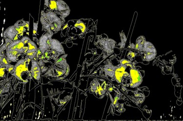 Photography titled "Orchids in Yellow 1a" by Ken Lerner, Original Artwork, Digital Photography
