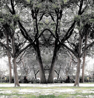 Fotografie mit dem Titel "Madison Park 23 - T…" von Ken Lerner, Original-Kunstwerk, Digitale Fotografie
