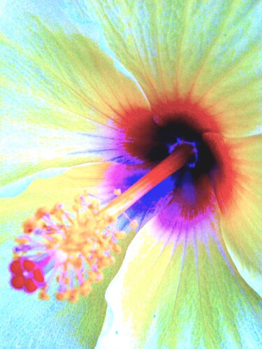 Photographie intitulée "Hibiscus 5a" par Ken Lerner, Œuvre d'art originale, Photographie numérique