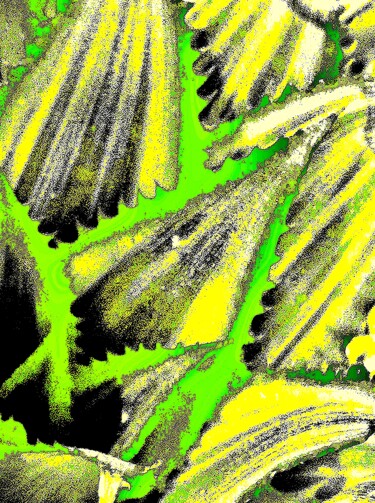 Fotografie mit dem Titel "Cactus Leaves 1b" von Ken Lerner, Original-Kunstwerk, Digitale Fotografie