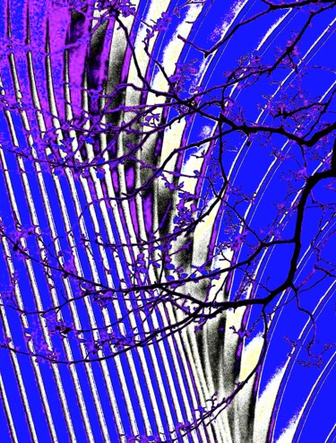 Photography titled "Oculus and Tree Bra…" by Ken Lerner, Original Artwork, Digital Photography