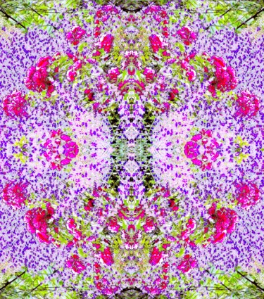 Фотография под названием "Wildflowers 1e3 [Li…" - Ken Lerner, Подлинное произведение искусства, Цифровая фотография