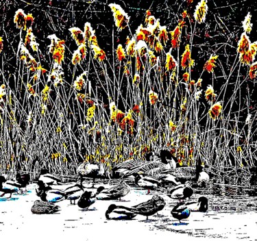 Фотография под названием "Central Park 4 - Du…" - Ken Lerner, Подлинное произведение искусства, Цифровая фотография