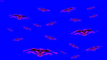 Photography titled "Bats 11d3 [Ice Wate…" by Ken Lerner, Original Artwork, Digital Photography