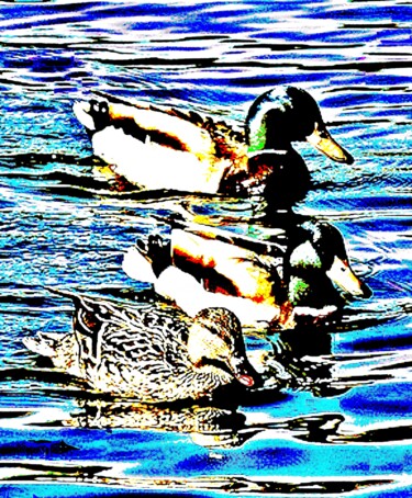 Fotografia intitolato "Ducks 100c" da Ken Lerner, Opera d'arte originale, Fotografia digitale