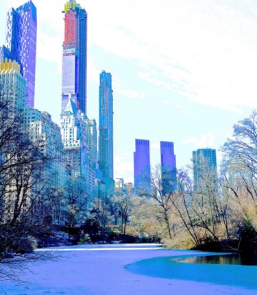 Fotografia intitolato "Central Park Februa…" da Ken Lerner, Opera d'arte originale, Fotografia digitale