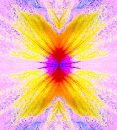 Fotografie mit dem Titel "Hibiscus 5aX2" von Ken Lerner, Original-Kunstwerk, Digitale Fotografie