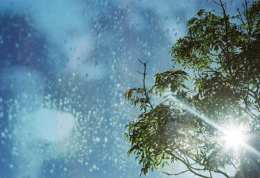 Photography titled "Sun through trees" by Kerry Gerdes, Original Artwork, Manipulated Photography