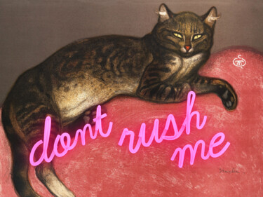 Digital Arts titled "Don’t Rush Me - Cat" by Kerry Pritchard, Original Artwork, Digital Painting