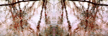 Digitale Kunst mit dem Titel "Rotwasserspiegel" von Kerstin Berthold, Original-Kunstwerk, Digitale Collage