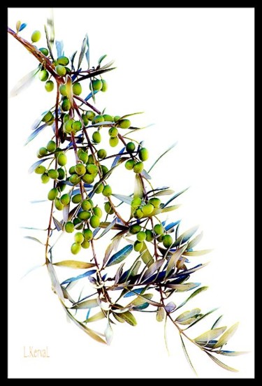 Arts numériques intitulée "Branche d'olivier" par L Kerval, Œuvre d'art originale, Peinture numérique