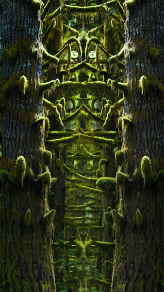 Arte digitale intitolato "Buried in the Forest" da Kevin Felts, Opera d'arte originale, Lavoro digitale 2D
