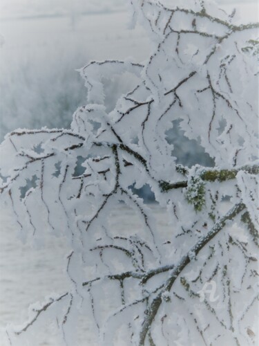 Photographie intitulée "frozen maze" par Bénédicte Keymeulen (LaraKey), Œuvre d'art originale, Photographie numérique