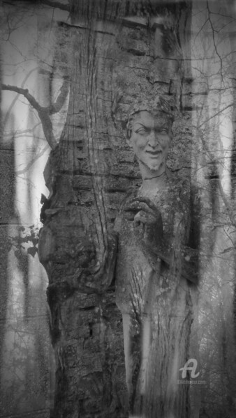 Photographie intitulée "forest spirit" par Bénédicte Keymeulen (LaraKey), Œuvre d'art originale, Photographie numérique