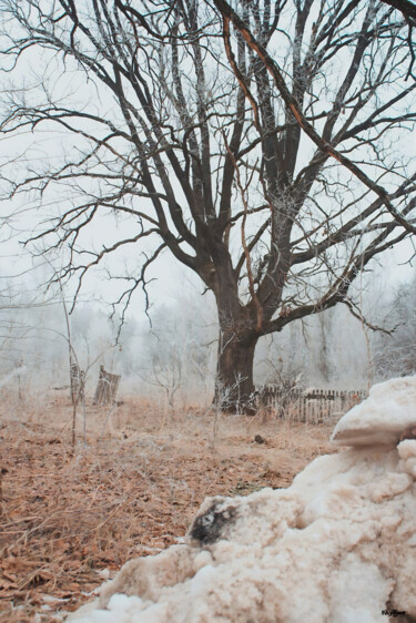 Fotografia intitolato "Winter Landscape" da Kh_yaguar, Opera d'arte originale, fotografia a pellicola