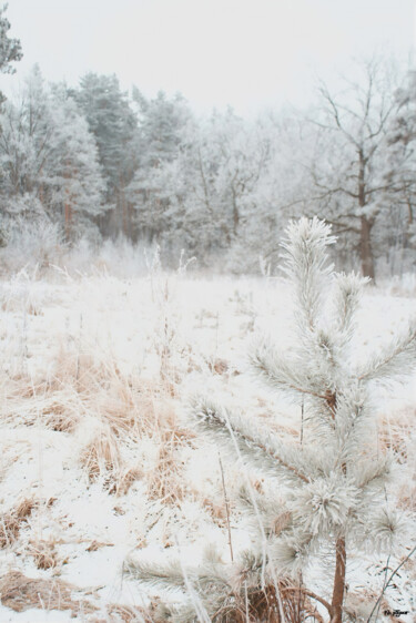 Photographie intitulée "First Snow" par Kh_yaguar, Œuvre d'art originale, Photographie argentique