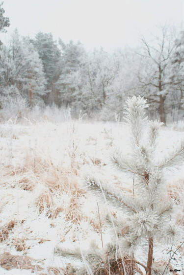 Fotografia intitolato "First Snow" da Kh_yaguar, Opera d'arte originale, fotografia a pellicola