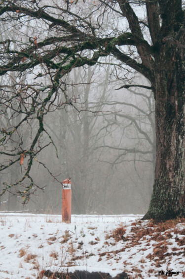 Fotografia intitulada "Misty  Landscape" por Kh_yaguar, Obras de arte originais, Fotografia de filme