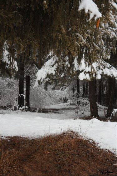 Fotografía titulada "First Snow In the W…" por Kh_yaguar, Obra de arte original, Fotografía analógica