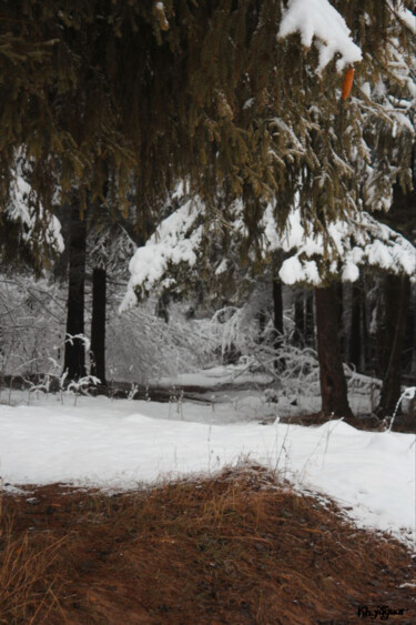 Photographie intitulée "First Snow In the W…" par Kh_yaguar, Œuvre d'art originale, Photographie argentique