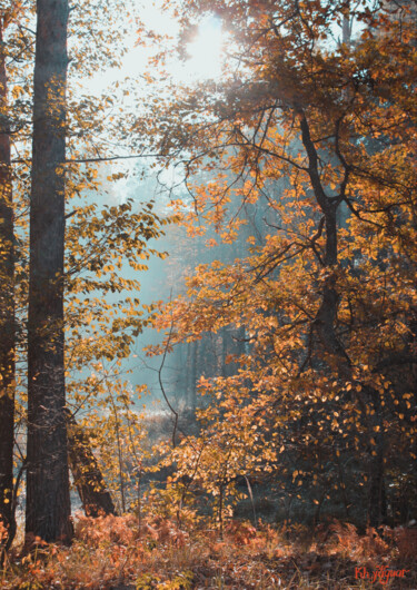 Digital Arts titled "autumn. morning. fo…" by Kh_yaguar, Original Artwork, Digital Photography