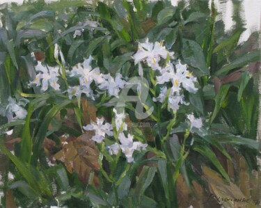 Картина под названием "Irises in a garden" - Valeriy Kharchenko, Подлинное произведение искусства