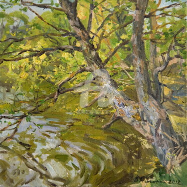 Painting titled "Spring sun" by Valeriy Kharchenko, Original Artwork, Oil
