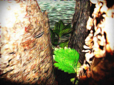 Цифровое искусство под названием "В лесу... У моря..." - Bez.Zvuka, Подлинное произведение искусства, 2D Цифровая Работа