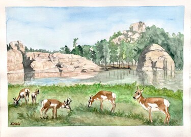 Painting titled "Les antilopes améri…" by Kija, Original Artwork, Watercolor