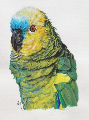 Painting titled "LORO" by Kile Zabala, Original Artwork, Watercolor