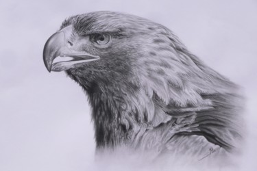 Dibujo titulada "ÁGUILA" por Kile Zabala, Obra de arte original, Lápiz