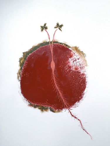 Dessin intitulée "Petit monde - Germe…" par Martina Kimmerle, Œuvre d'art originale, Pastel