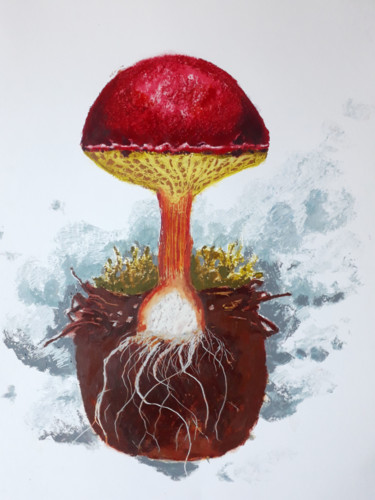 Petit monde- Australien rhubarbe bolet Drawing titled "Petit monde- Austra…" by Martina Kimmerle, Original Art, Pastel