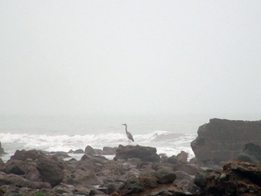Photography titled "Heron on the sea fr…" by Kimmy, Original Artwork