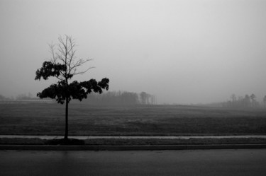摄影 标题为“Winterizing Tree” 由Llewellyn Berry, 原创艺术品, 数码摄影