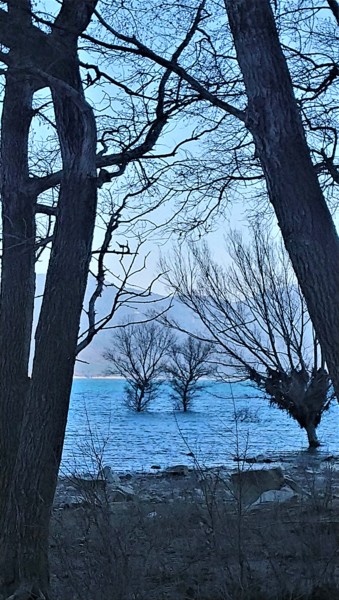 Photographie intitulée "Contrastes" par Christine Pons, Œuvre d'art originale, Photographie numérique