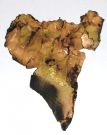 Sculpture intitulée "petite afrique" par Christine Pons, Œuvre d'art originale, Bois