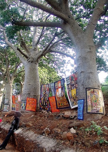 Photographie intitulée "Allée des baobabs" par Christine Pons, Œuvre d'art originale