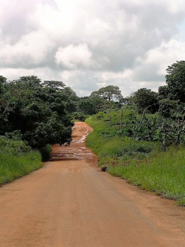 Fotografia intitulada "chemin de brousse" por Christine Pons, Obras de arte originais