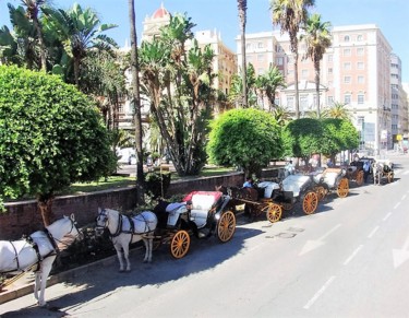 Fotografía titulada "Calèches à Malaga" por Christine Pons, Obra de arte original