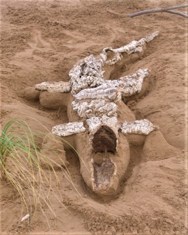 Sculpture intitulée "Mister Crocodile" par Christine Pons, Œuvre d'art originale, Sable