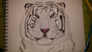 Zeichnungen mit dem Titel "Tigre Décoration" von Delphine Kinoxe, Original-Kunstwerk, Bleistift