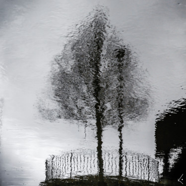 Photography titled "Tree dream hors sér…" by Kira Vygrivach, Original Artwork, Non Manipulated Photography