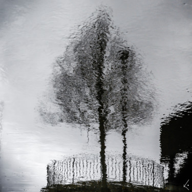 tree-reflection-logo-3422.jpg Fotografie getiteld "tree-reflection-log…" door Kira Vygrivach, Origineel Kunstwerk,
