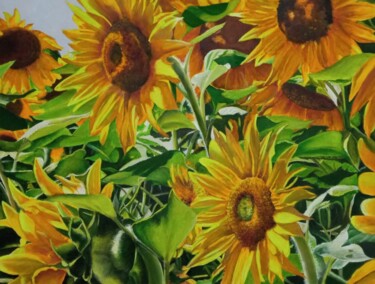 Malerei mit dem Titel "Sunflower field" von Kirill Shevchenko, Original-Kunstwerk, Acryl