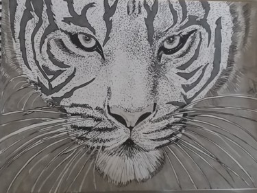 Dessin intitulée "tigresse" par Sarah Bouzaglou Boissin, Œuvre d'art originale, Encre