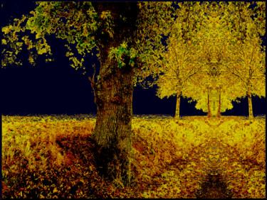 Champ d'Or Photographie intitulée "Champ d'Or" par Kirlian, Œuvre d'art originale, Photographie numérique