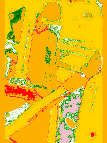 Artes digitais intitulada "Organic" por Kirlian, Obras de arte originais, Pintura digital