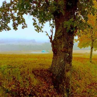 Photography titled "Tree1" by Kirlian, Original Artwork