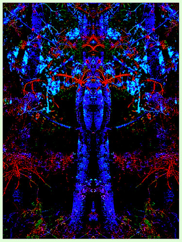 Digital Arts titled "Tree Man 2" by Kirlian, Original Artwork, Digital Painting